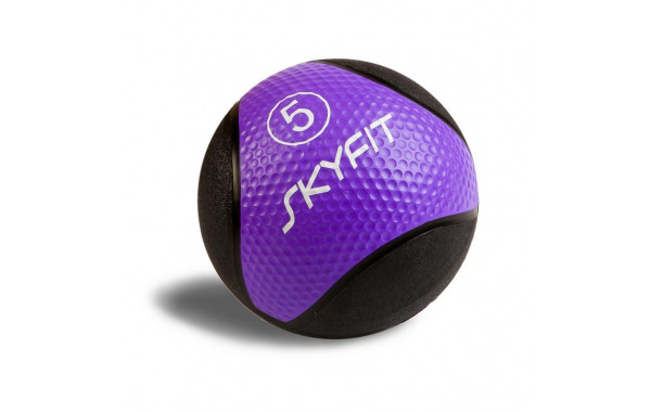 Медицинский мяч 5 кг SkyFit SF-MB5k черный-фиолетовый 600_380