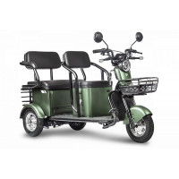 Трицикл RuTrike Караван 022926-2419 зеленый