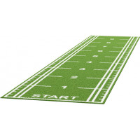 Искусственный газон (трава) DHZ для функционального тренинга с разметкой 2x10