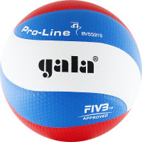Мяч волейбольный Gala Pro-Line Top BV5591S р.5