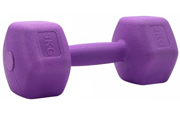 Гантели для фитнеса Sport Elite 1х3 кг H-103 фиолетовый 600_380