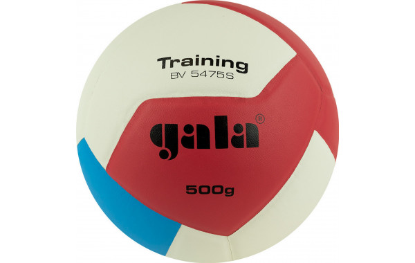 Мяч волейбольный Gala Training Heavy 12 BV5475S р.5 600_380