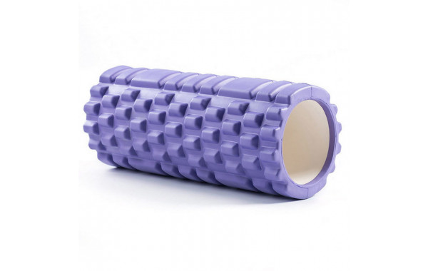 Ролик для йоги Sportex (фиолетовый) 33х15см ЭВА\АБС B33105 600_380