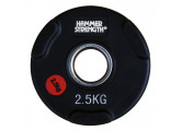 Диск олимпийский обрезиненный d51мм Hammer WP074B 2,5кг черный