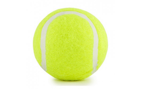 Мяч для большого тенниса Start Up TB-GA03 600_380