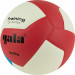 Мяч волейбольный Gala Training Heavy 12 BV5475S р.5 75_75