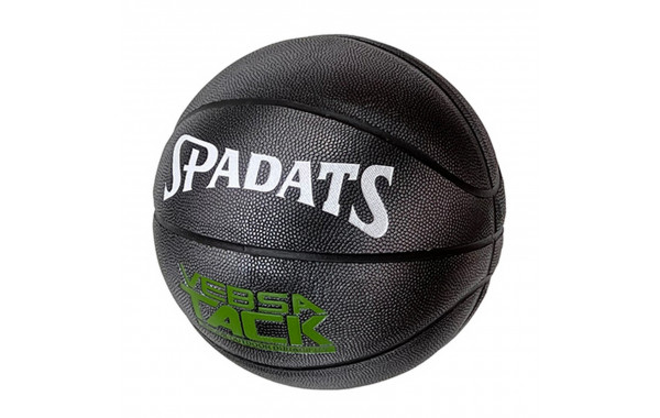 Мяч баскетбольный Sportex E39991 р.7 600_380