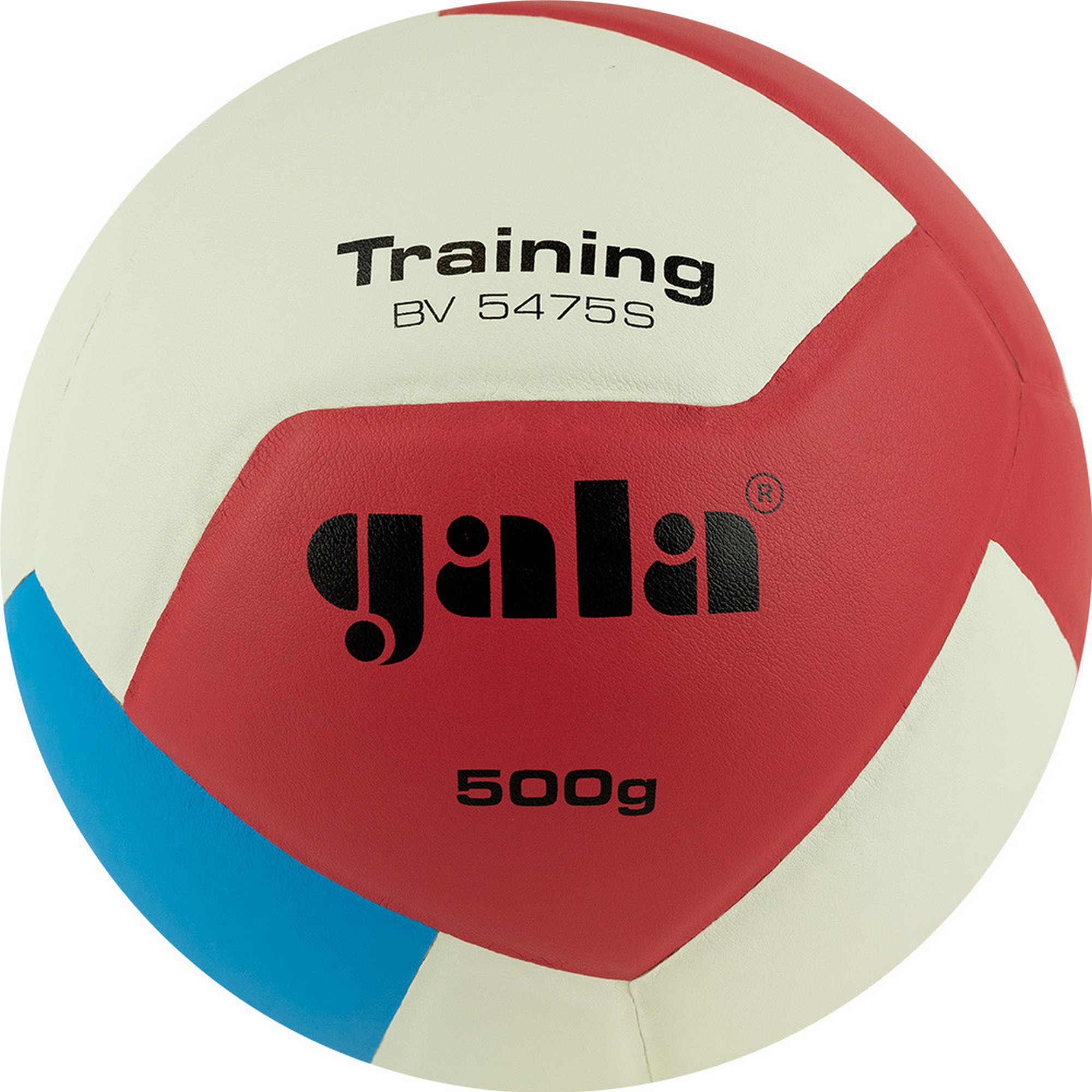Мяч волейбольный Gala Training Heavy 12 BV5475S р.5 2000_2000