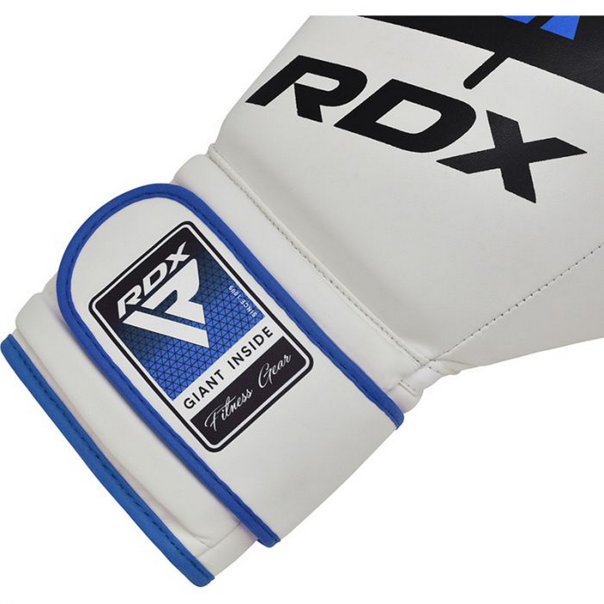 Перчатки тренировочные RDX BGR-F7U-10oz белый\синий 2000_2000