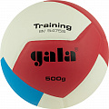 Мяч волейбольный Gala Training Heavy 12 BV5475S р.5 120_120