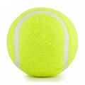 Мяч для большого тенниса Start Up TB-GA03 120_120