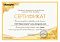 Сертификат на товар Гамак для йоги Kampfer Yoga Sky 20136 желтый